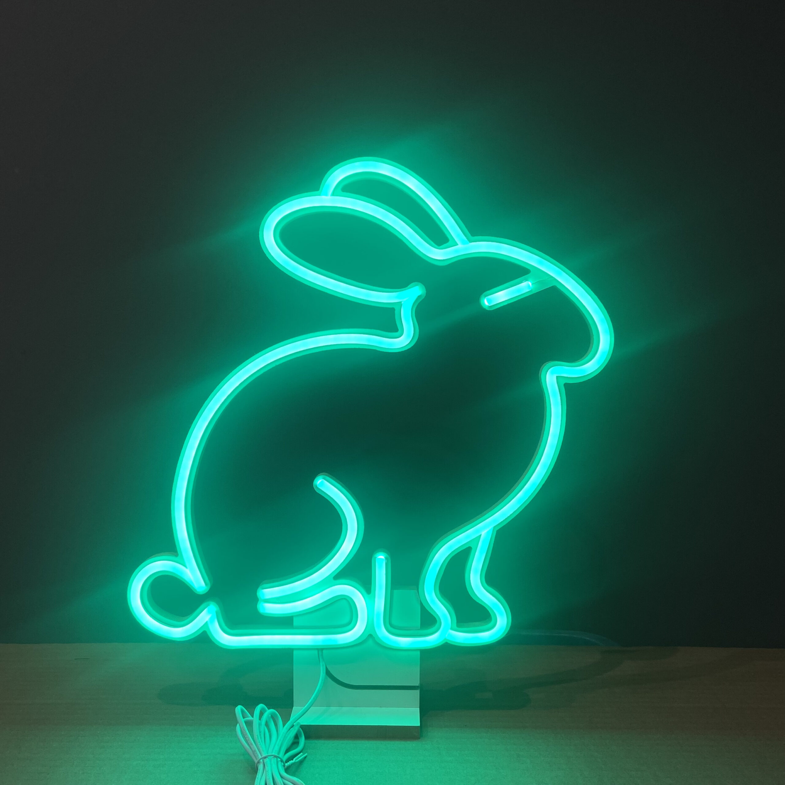 Okazały Ospały Zając Wielkanocny Neon Led 12V - obrazek 4