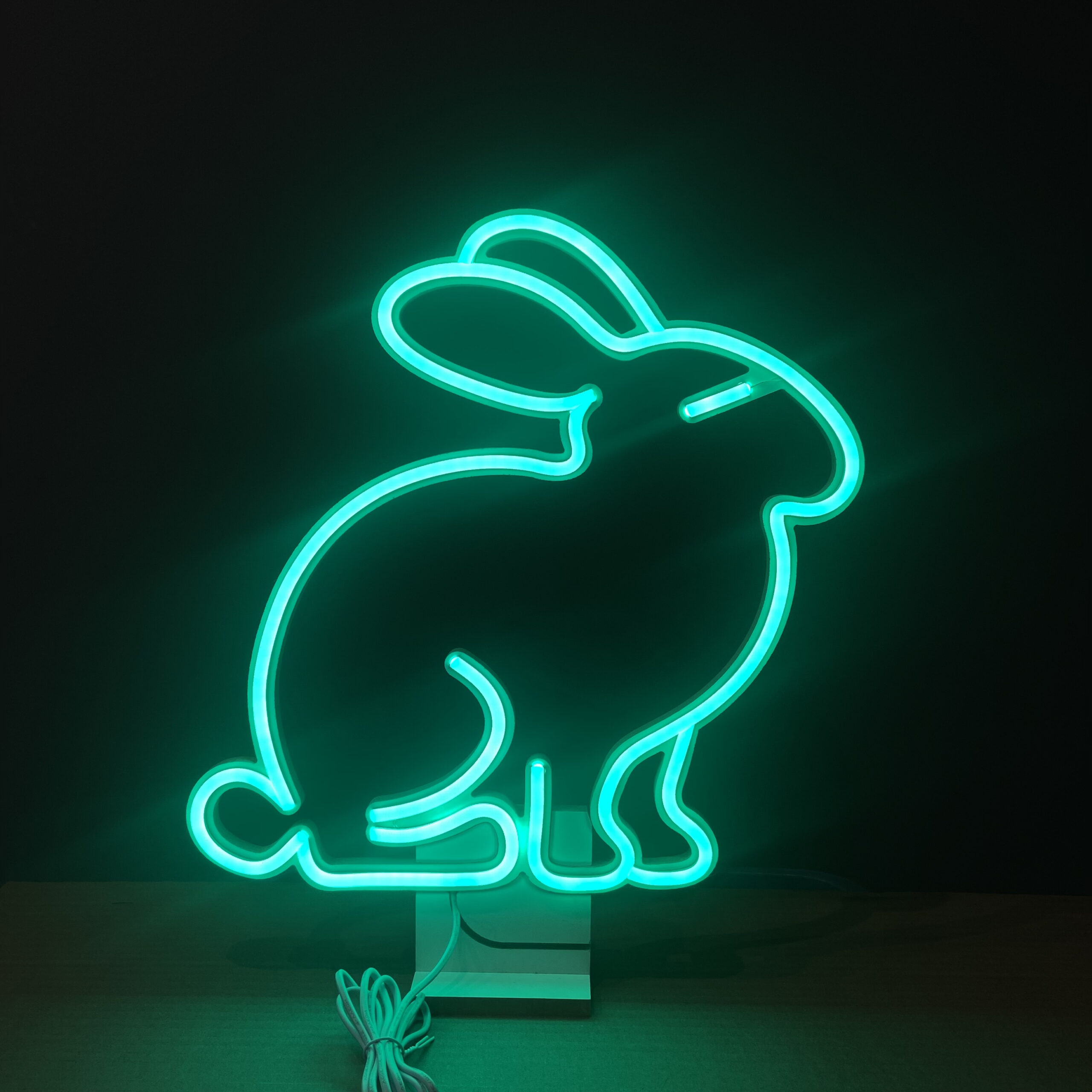 Okazały Ospały Zając Wielkanocny Neon Led 12V - obrazek 3